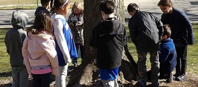 Students taking Nature Pictures